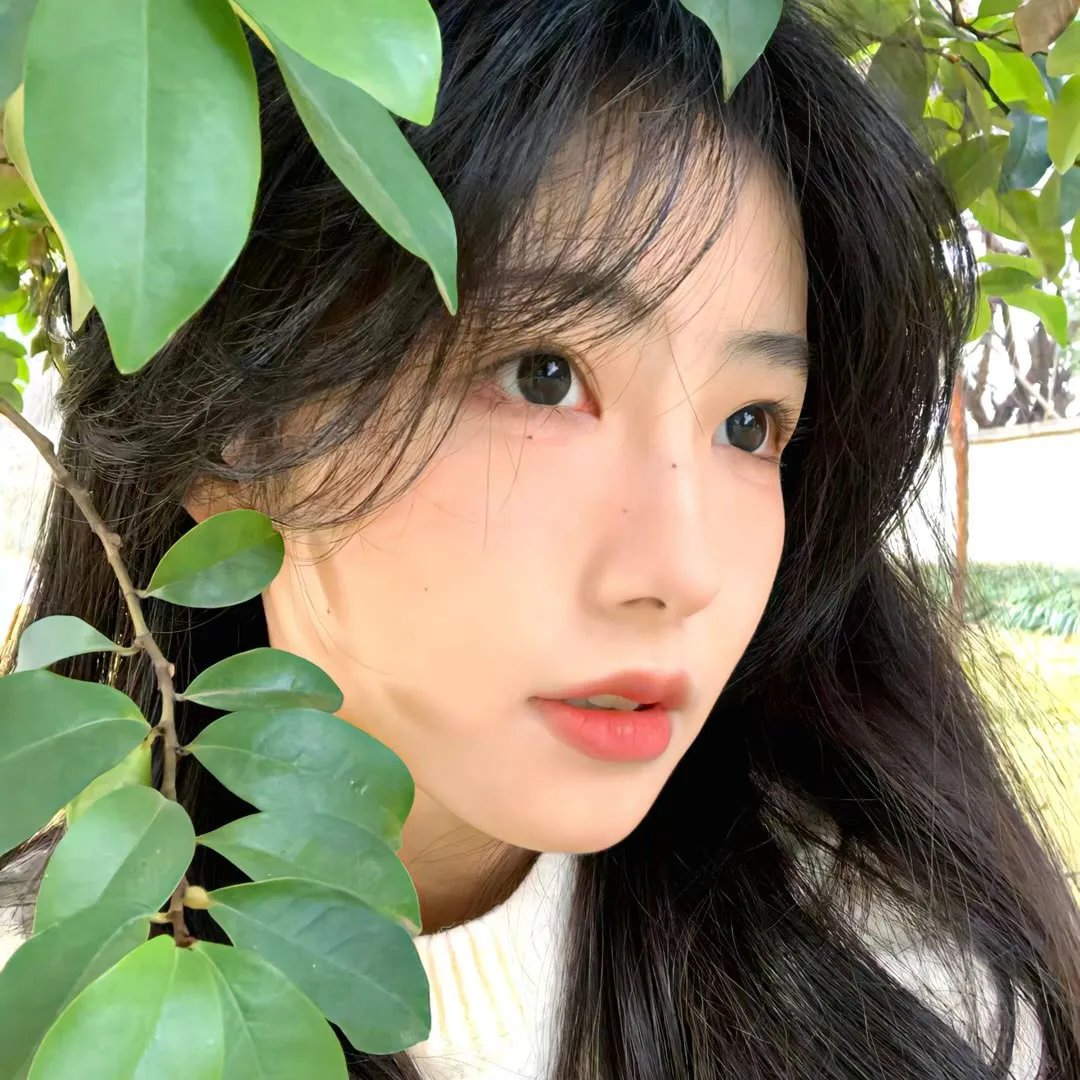 雪原孤军